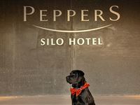 Exterior - Peppers Silo Hotel